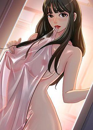 钢之炼金术师 封面